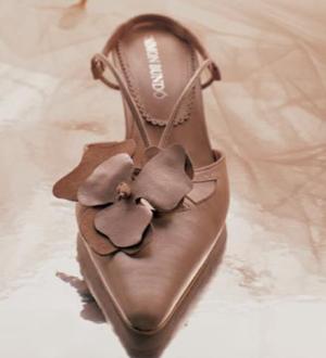 Zapatos de Novia