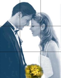 Novios