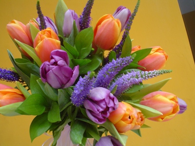 DSC04126.JPG