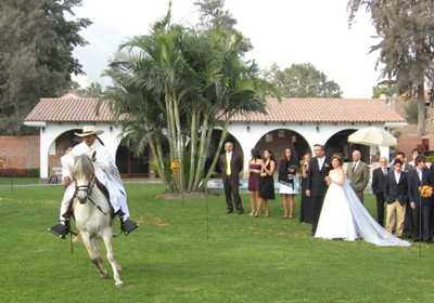caballo_de_paso_boda