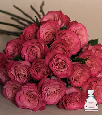 rosas_fuccias.jpg