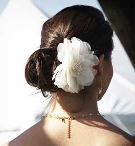 Bridal hairstyles Options